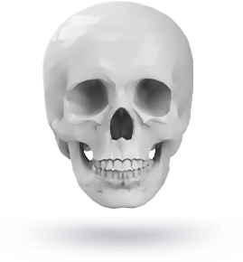 Realistic human skull on white background