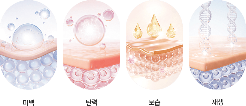 345 Plastic Surgery where natural skin layers diagram. Skin whitening, elasticity, moisture, regeneration.