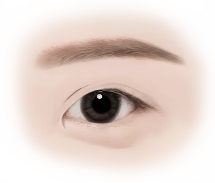 Close up of eye for 345 Plastic Surgery where natural look is key.