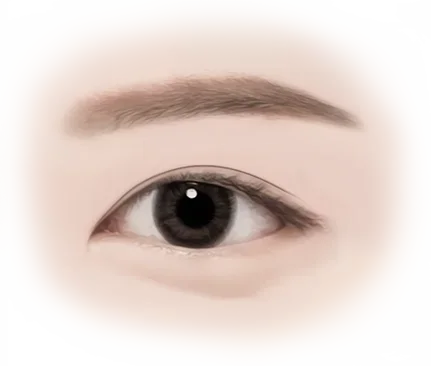 Eye close-up, 345 Plastic Surgery where natural, eyebrow, eyelid, and iris.