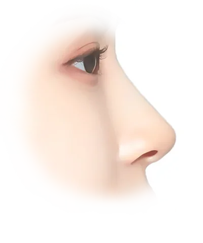 345 Plastic surgery profile view showing natural nose shape.